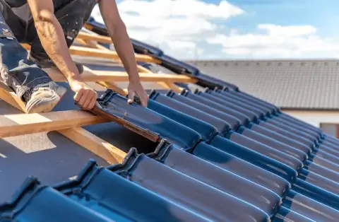 Couverture - Les Haies